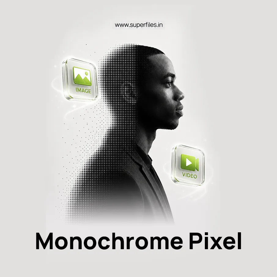 Convert image and video to monochrome style with one click